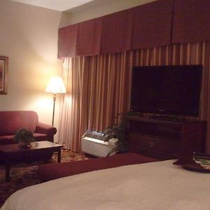 Hampton Inn & Suites Del Rio